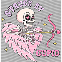 Valentine's Day-QRJ  1321